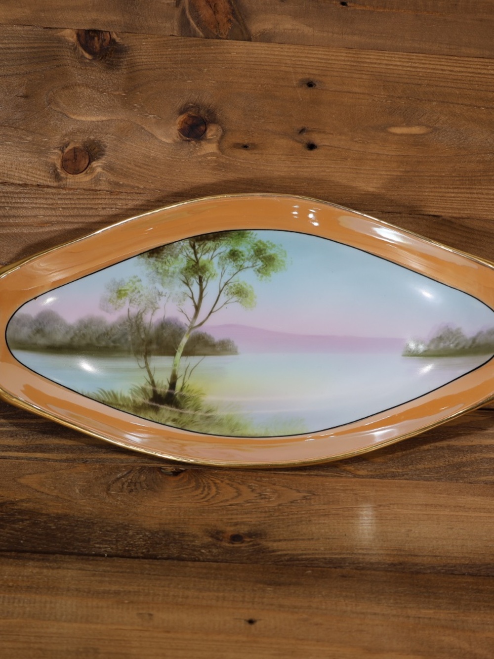 Vintage Noritake celery tray plate made in Japan